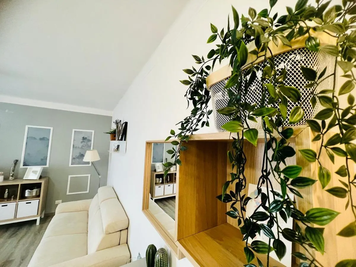 Apartment Suite Colibri - Sanremo Centro Italy