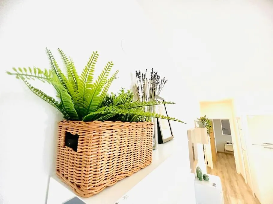Suite Colibri - Sanremo Centro